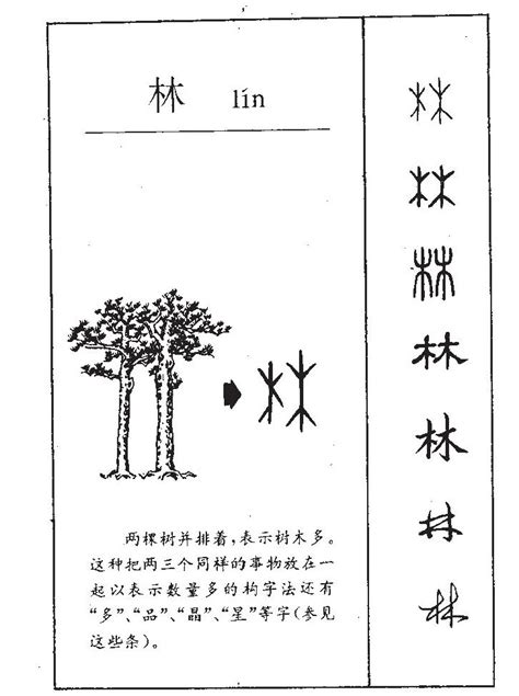 林的意思名字|带林字好听的名字